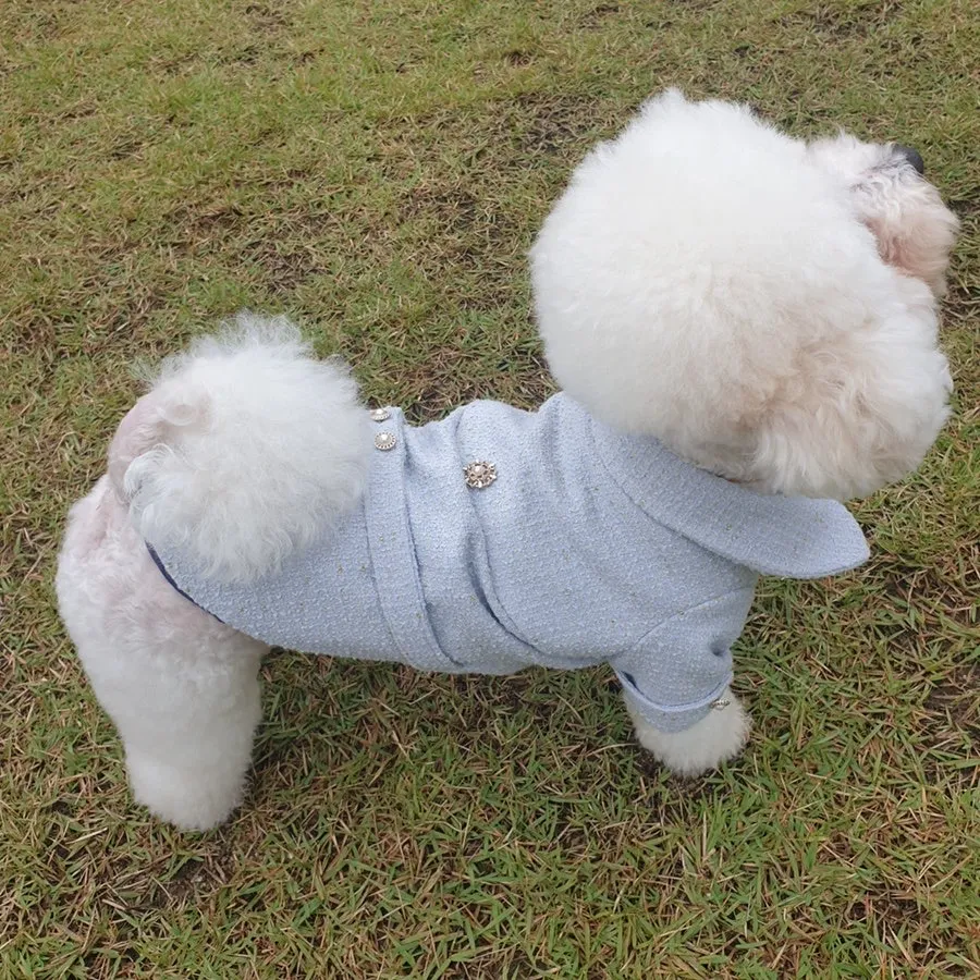 이미지 14