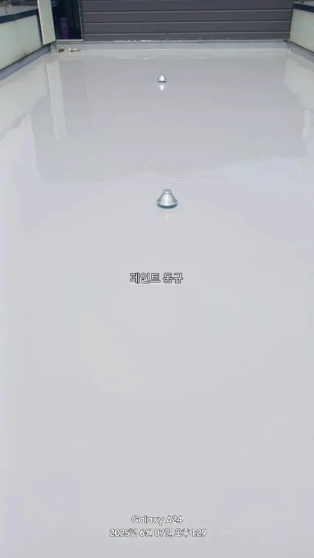 이미지 12