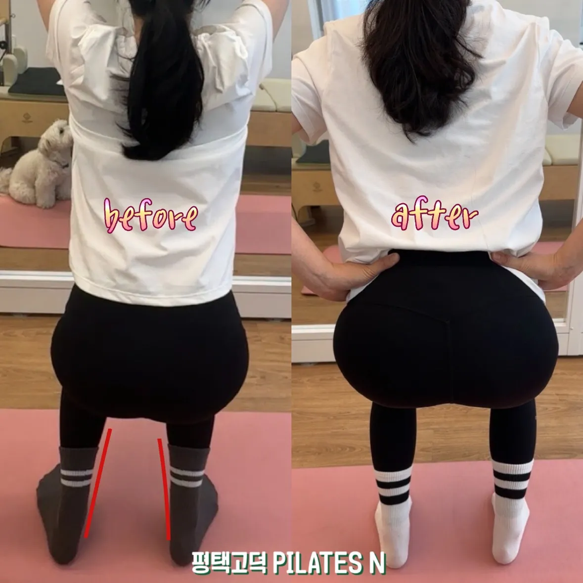 이미지 6