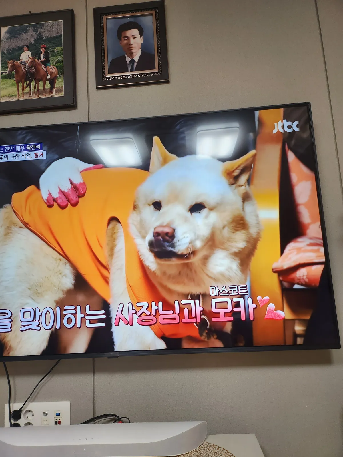 이미지 6