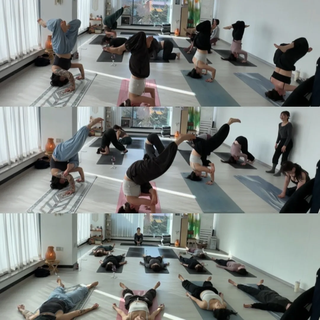 이미지 4