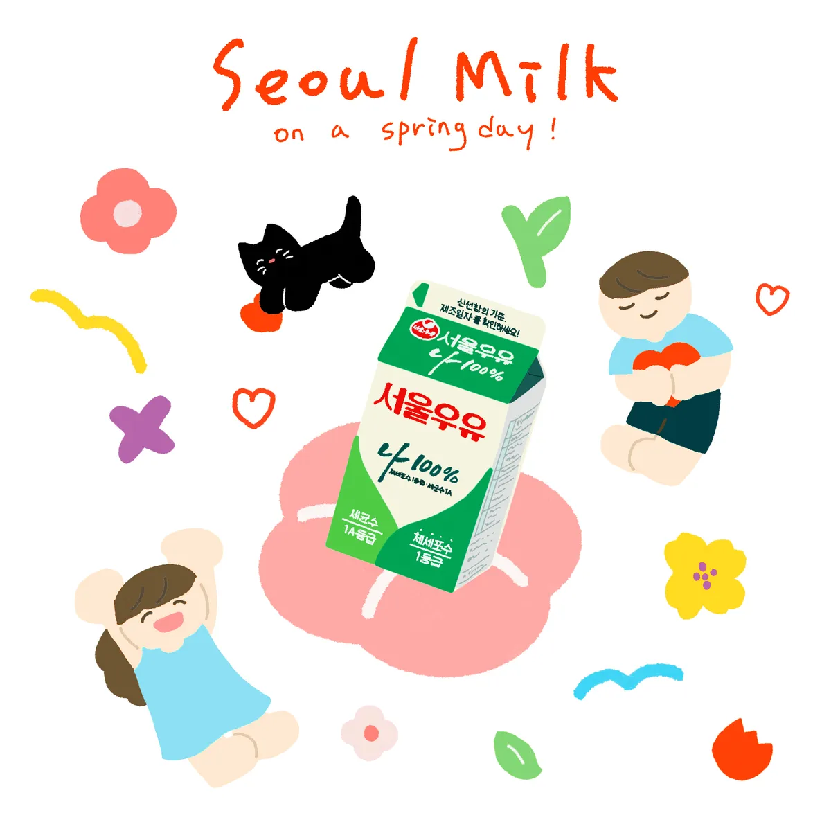 이미지 3