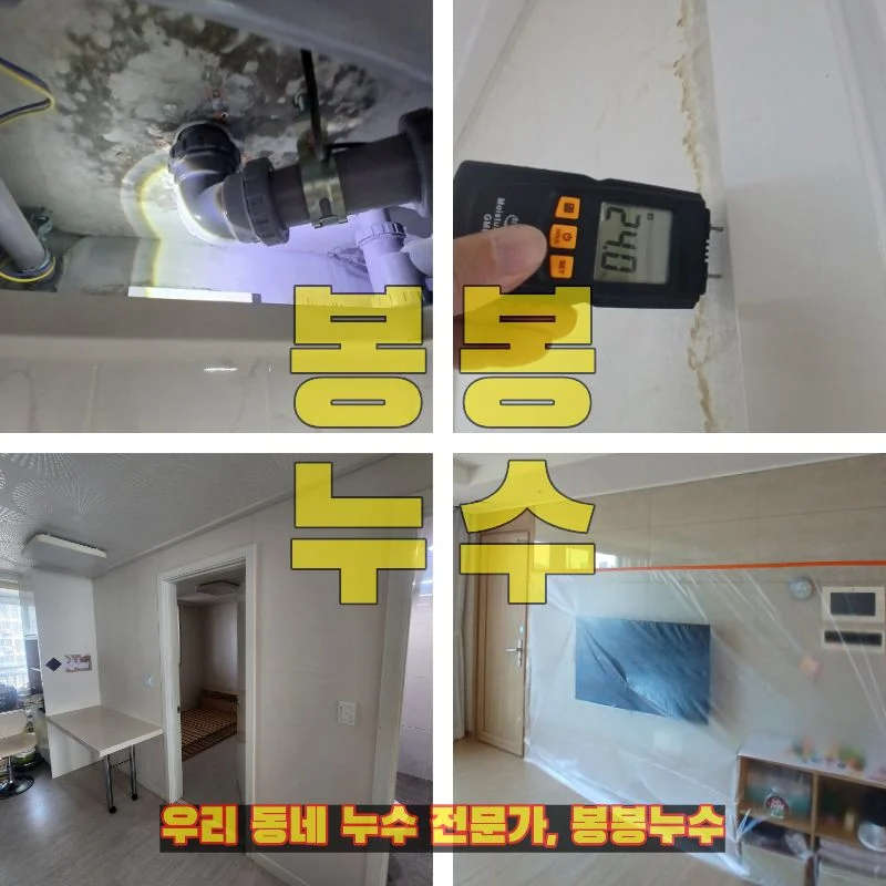 이미지 8
