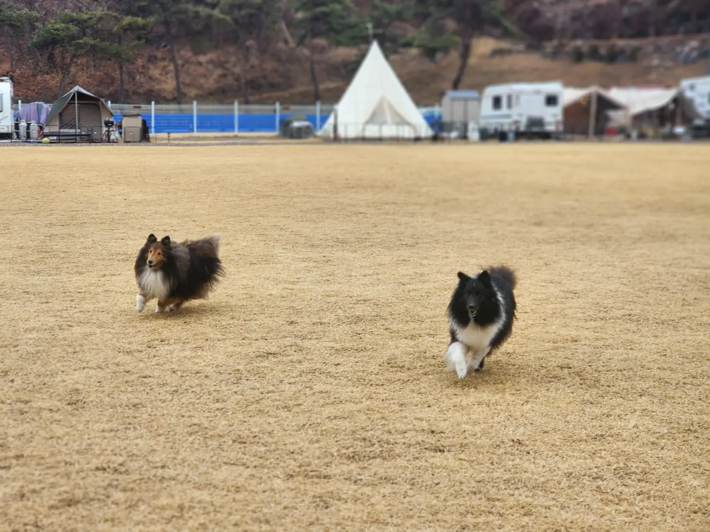이미지 10