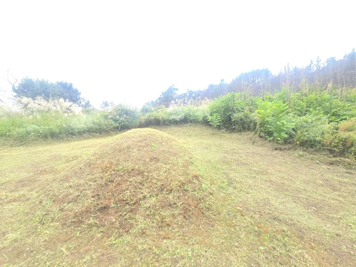 포트폴리오 대표 이미지