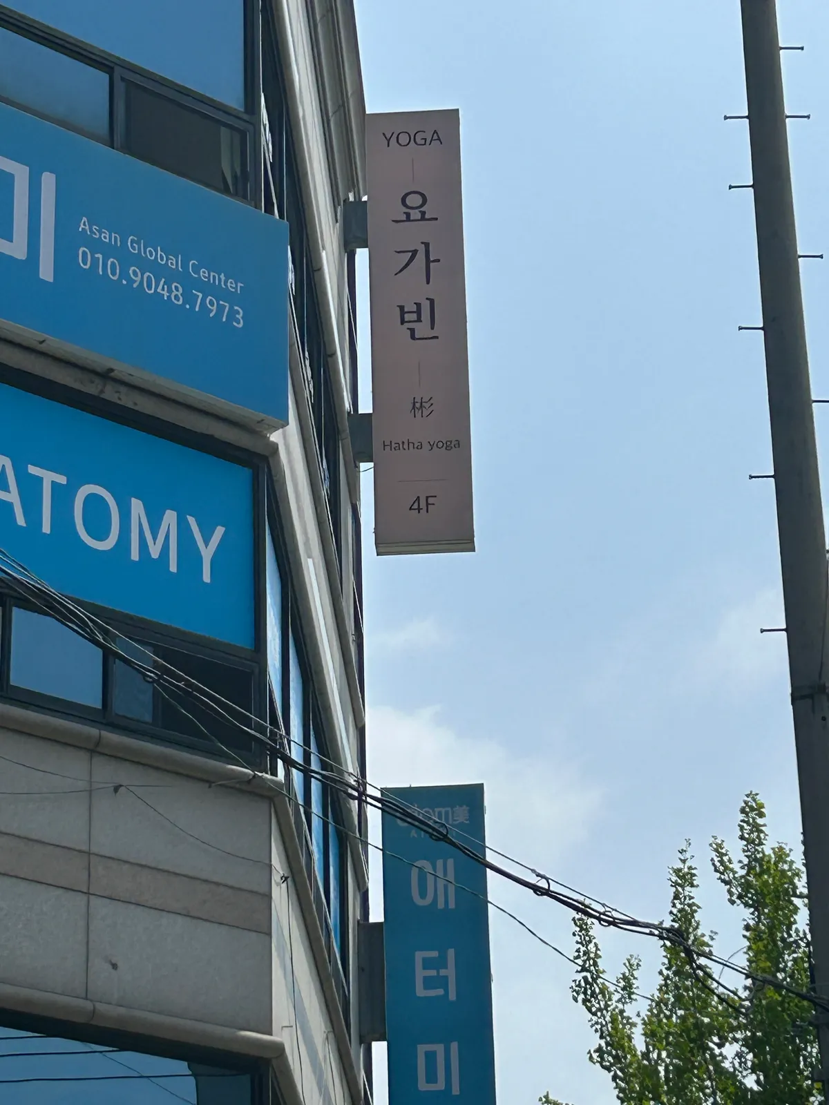 이미지 6