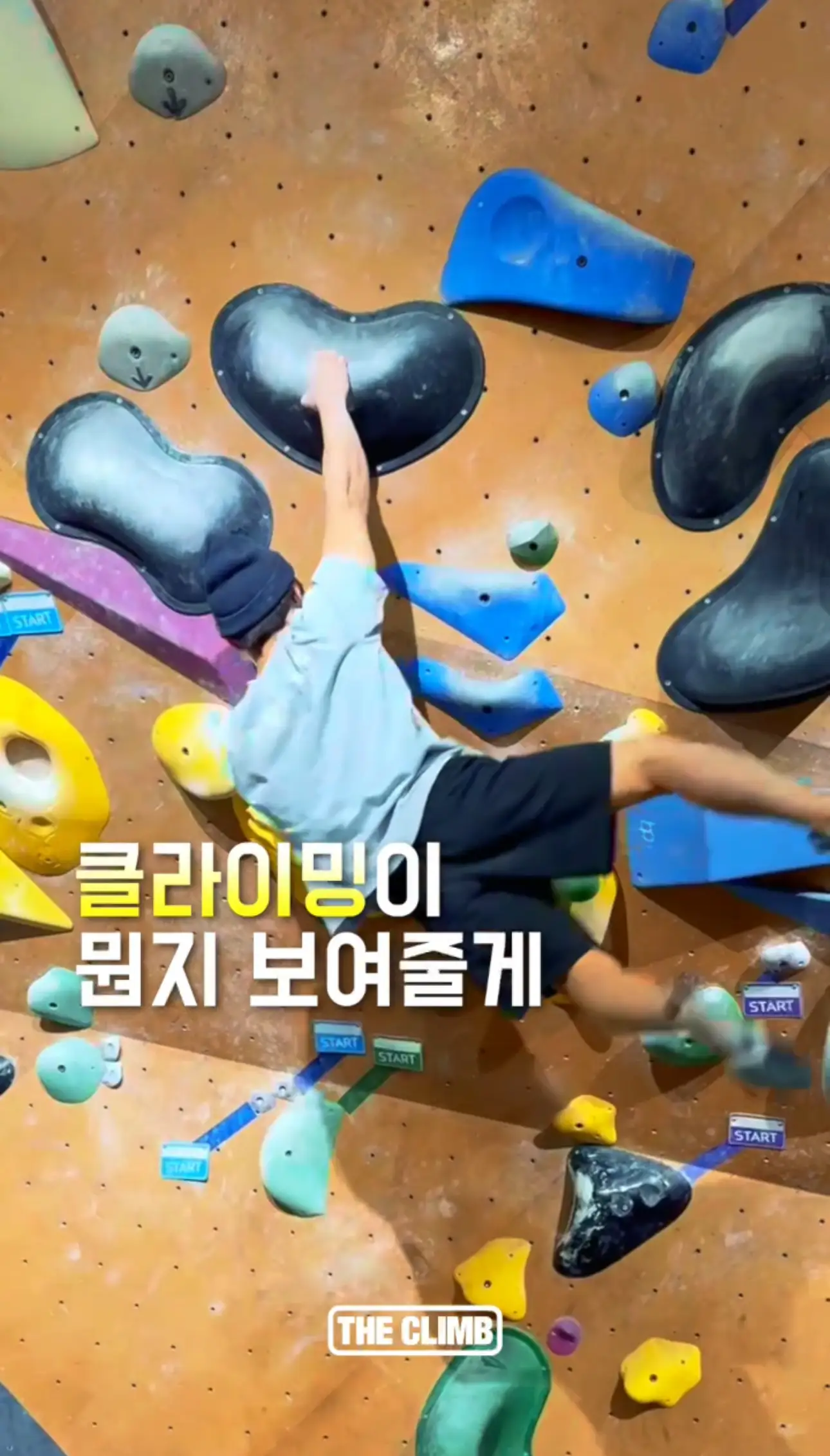 이미지 6