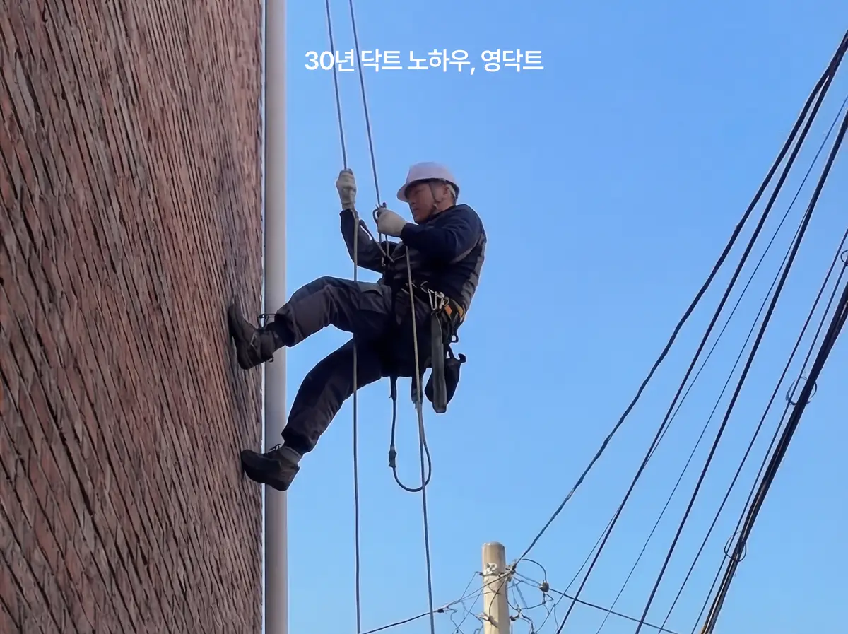 이미지 12