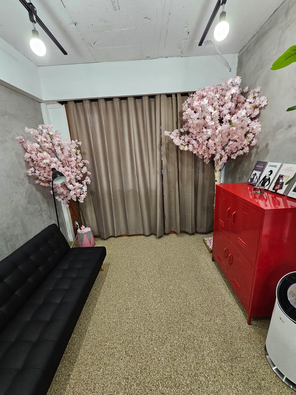 이미지 8