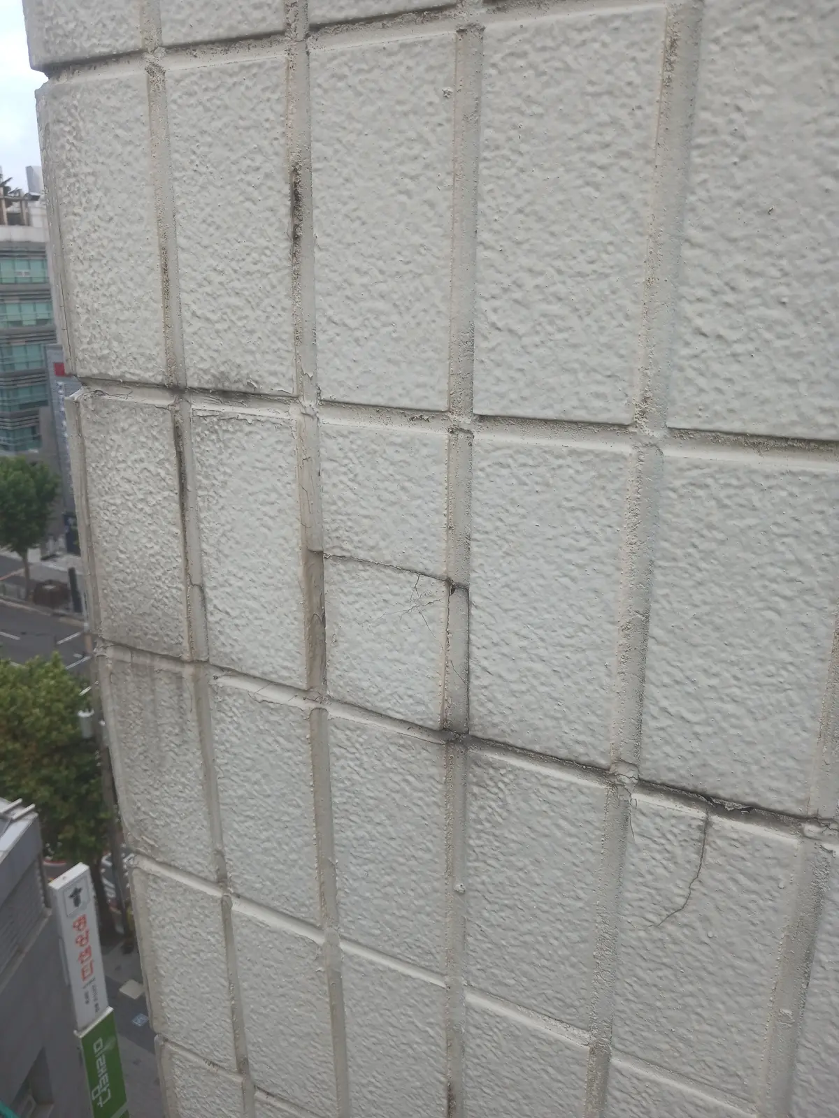 이미지 14