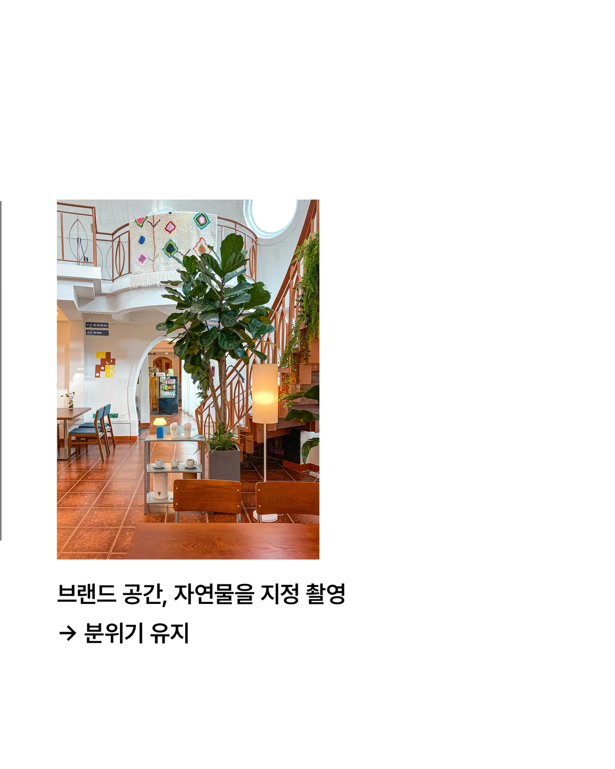 이미지 10