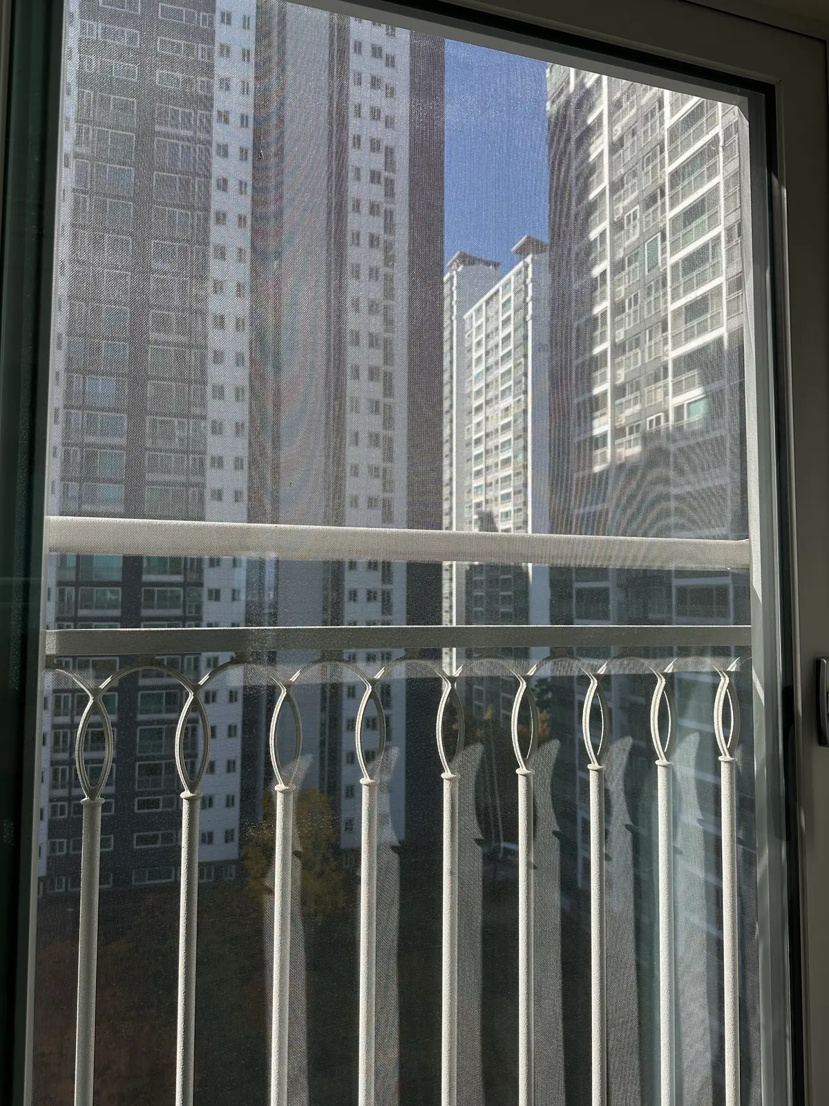이미지 10