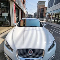 애니가드 ap80r 반반사 썬팅 측후면05%,전면30%