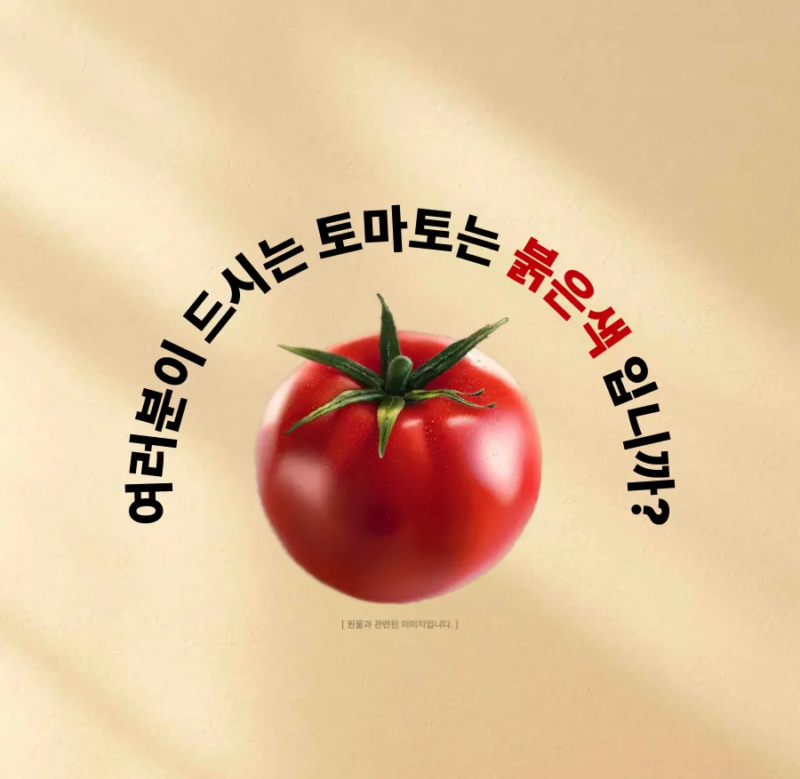 이미지 8