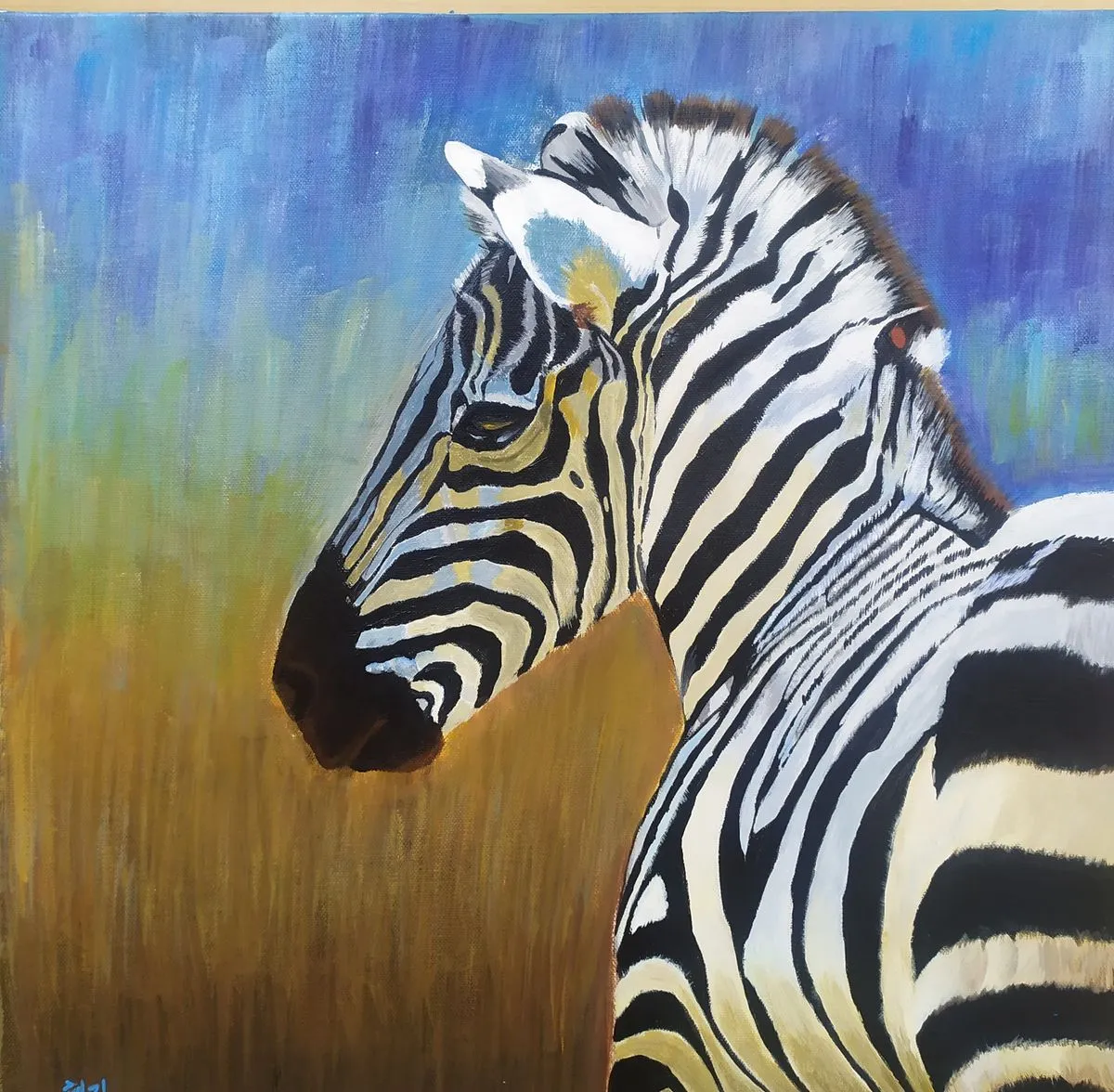 포트폴리오 이미지