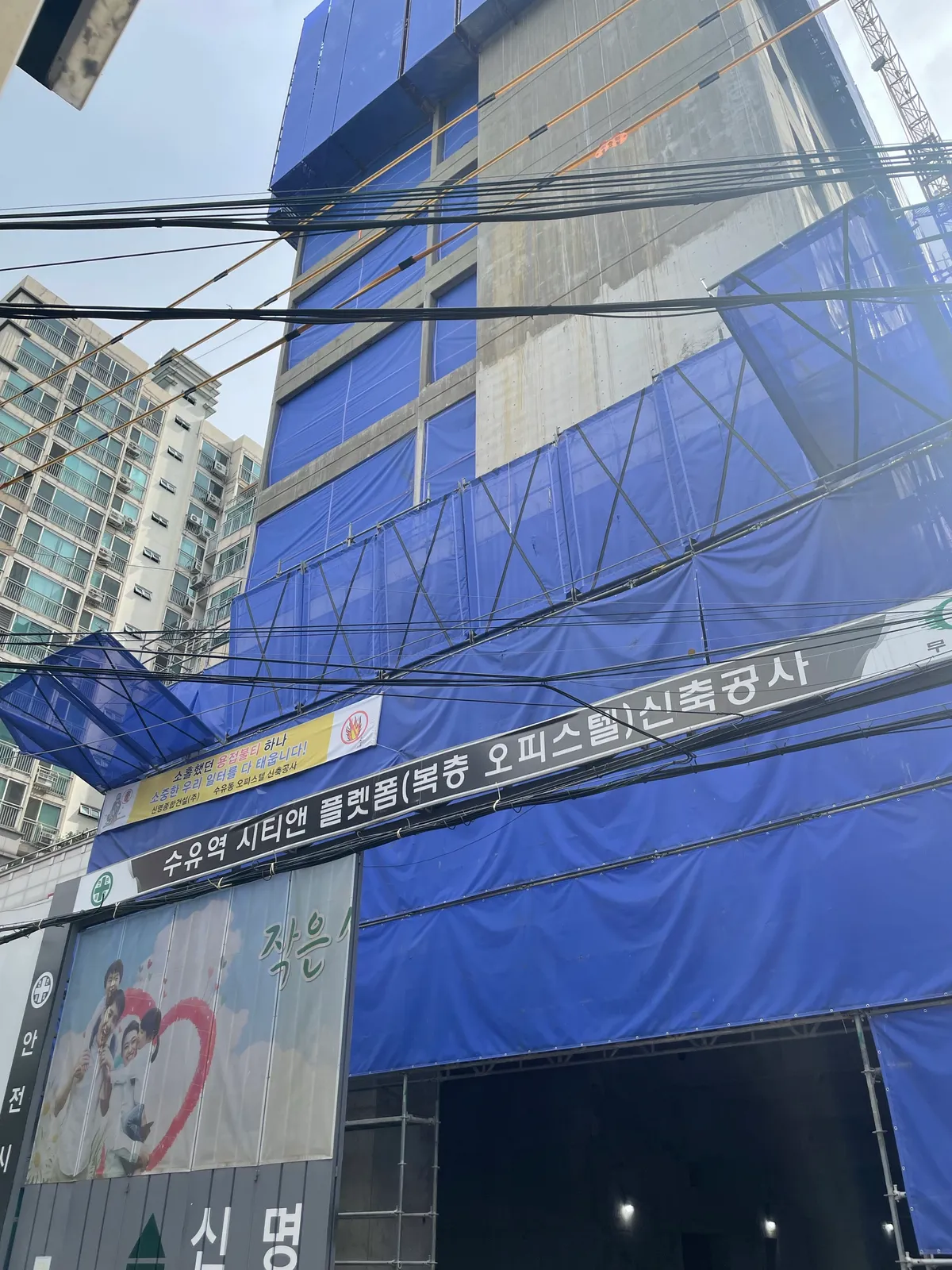 이미지 5