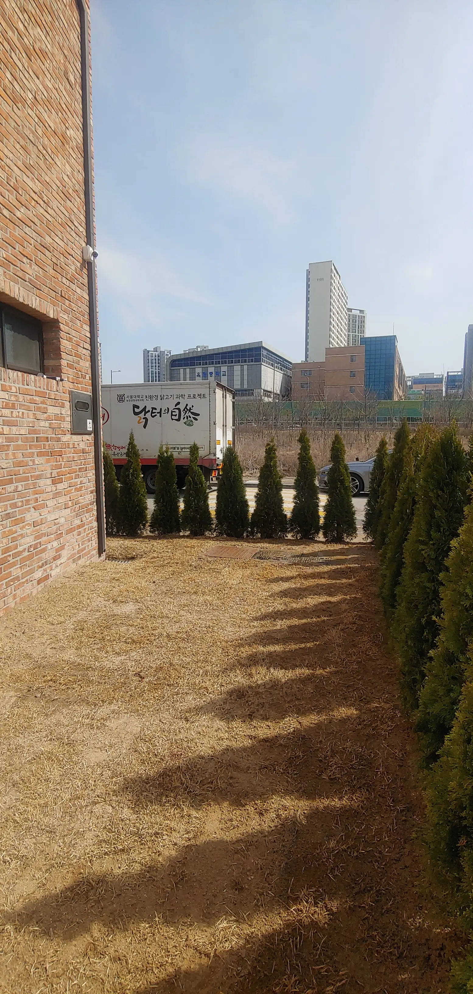 이미지 11