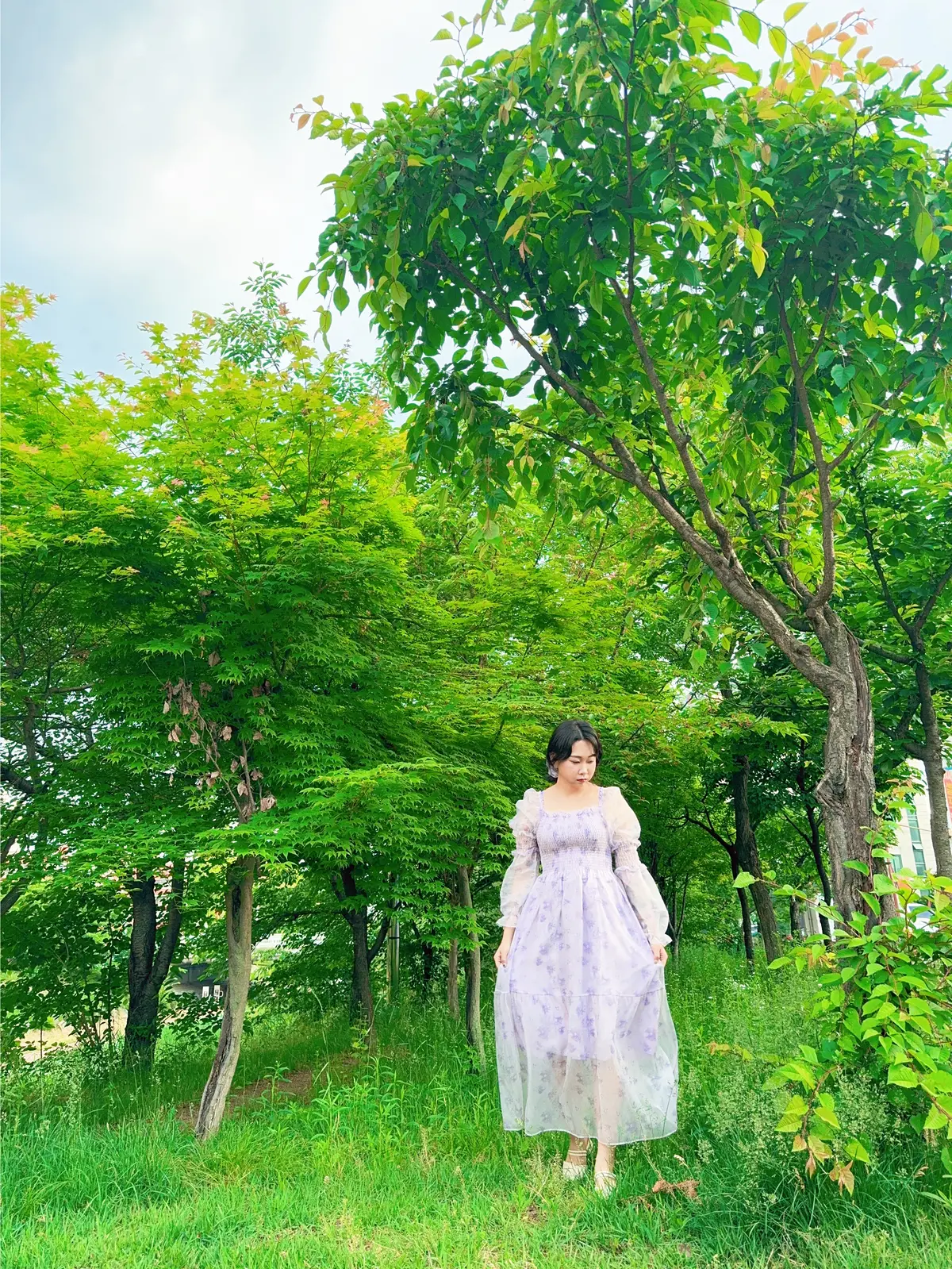 이미지 8