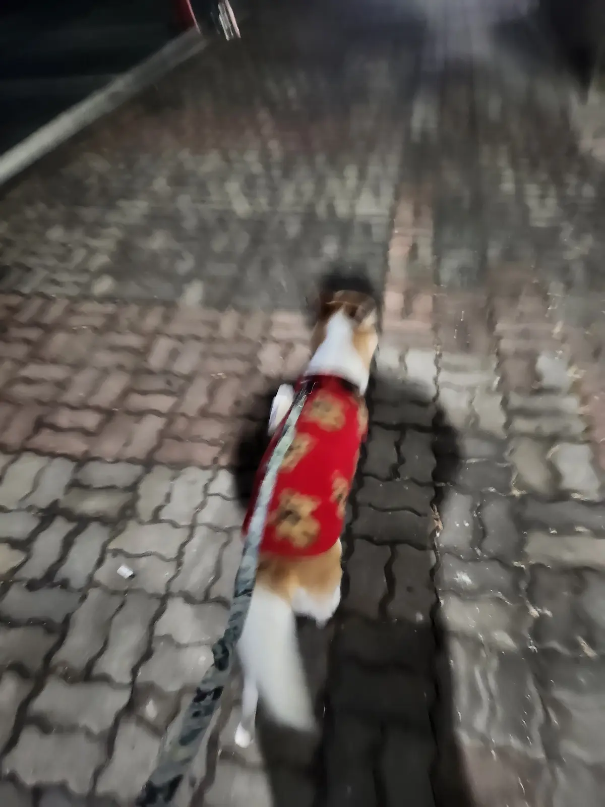 이미지 14