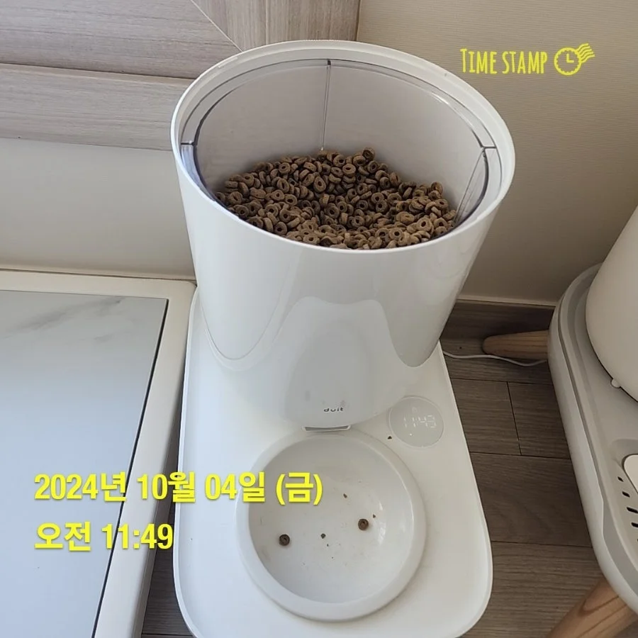 이미지 5