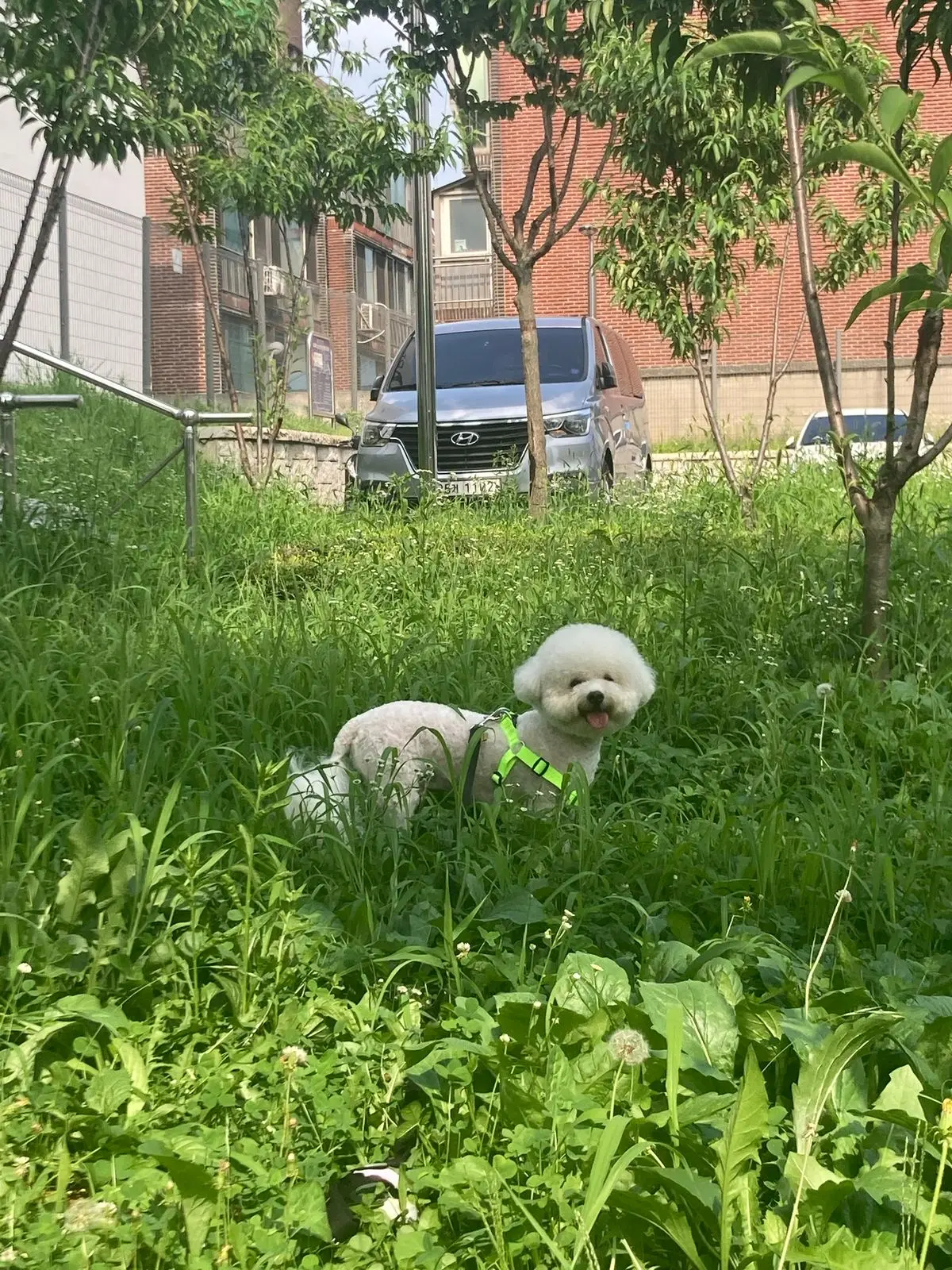 이미지 8