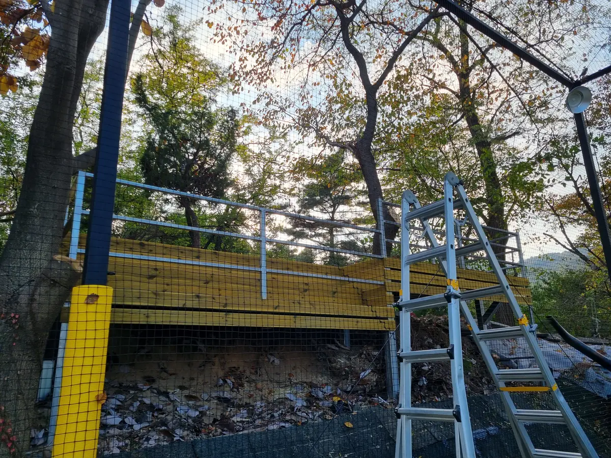 이미지 6