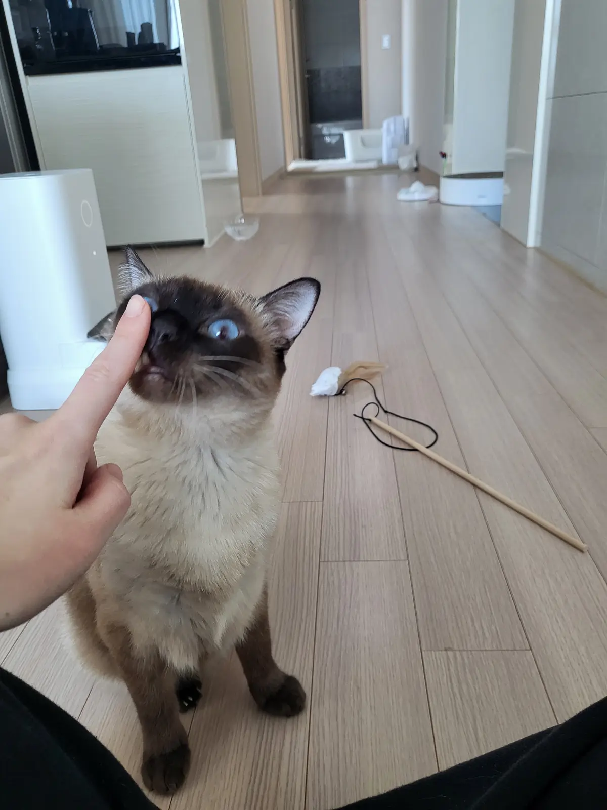 이미지 3