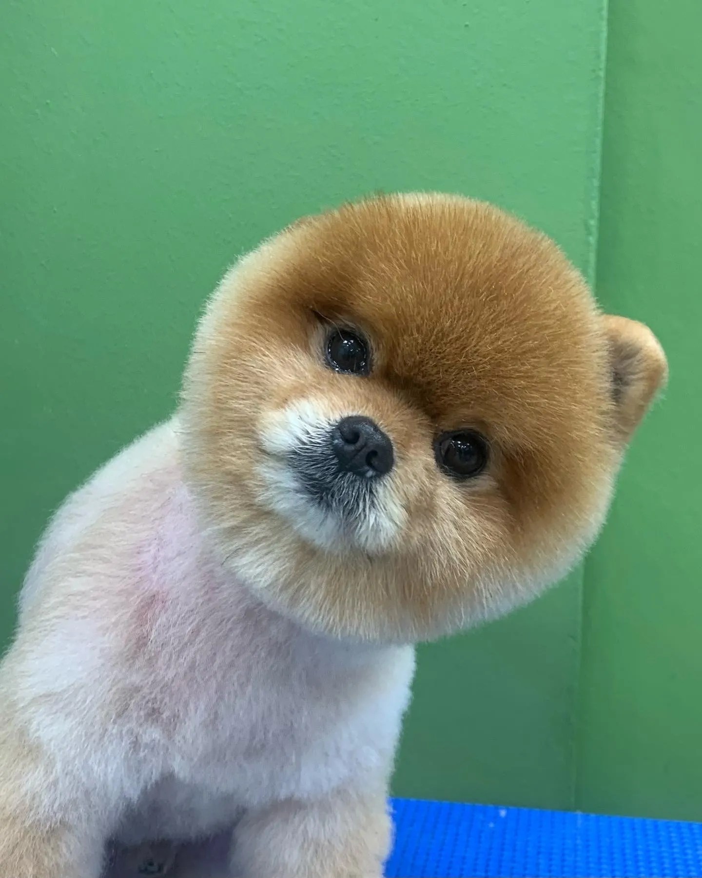 이미지 9