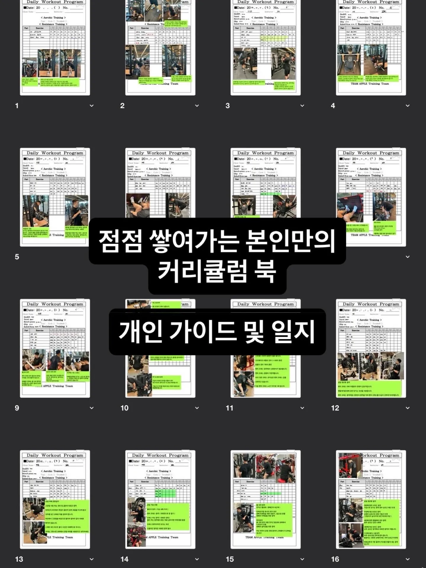 이미지 8