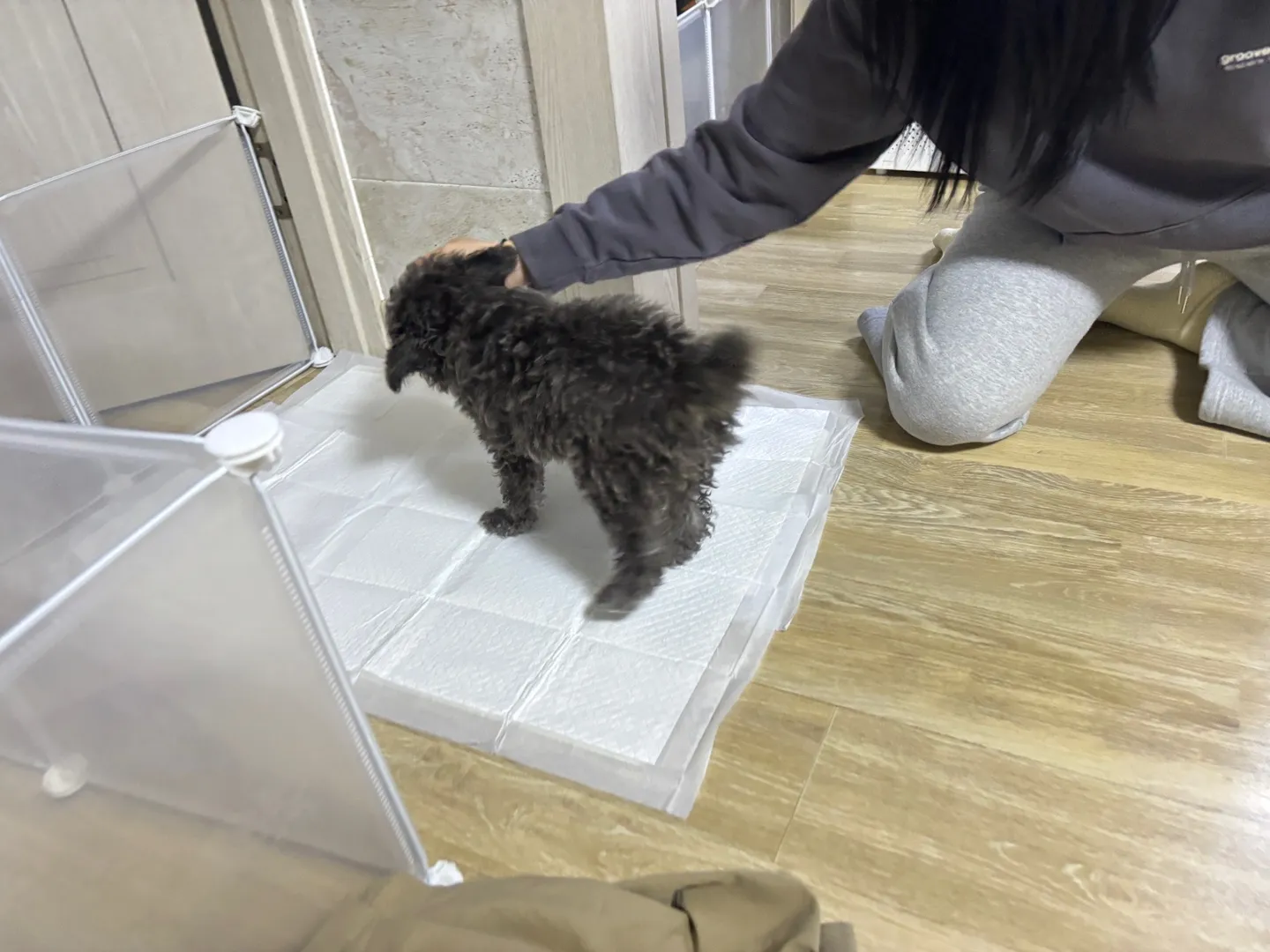 이미지 4