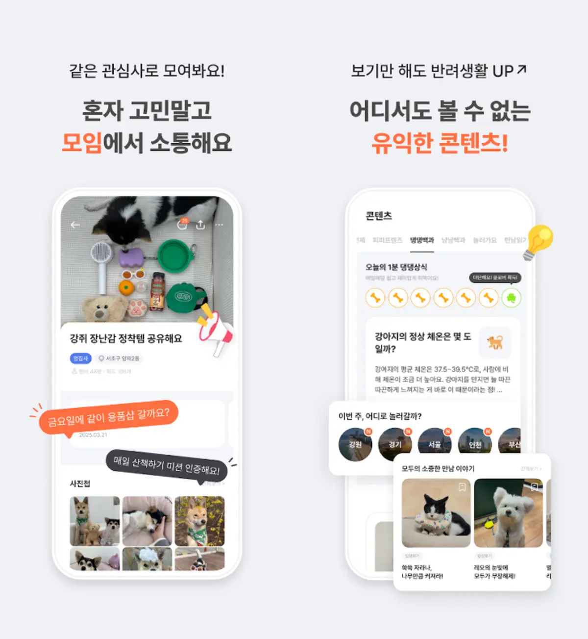 이미지 8