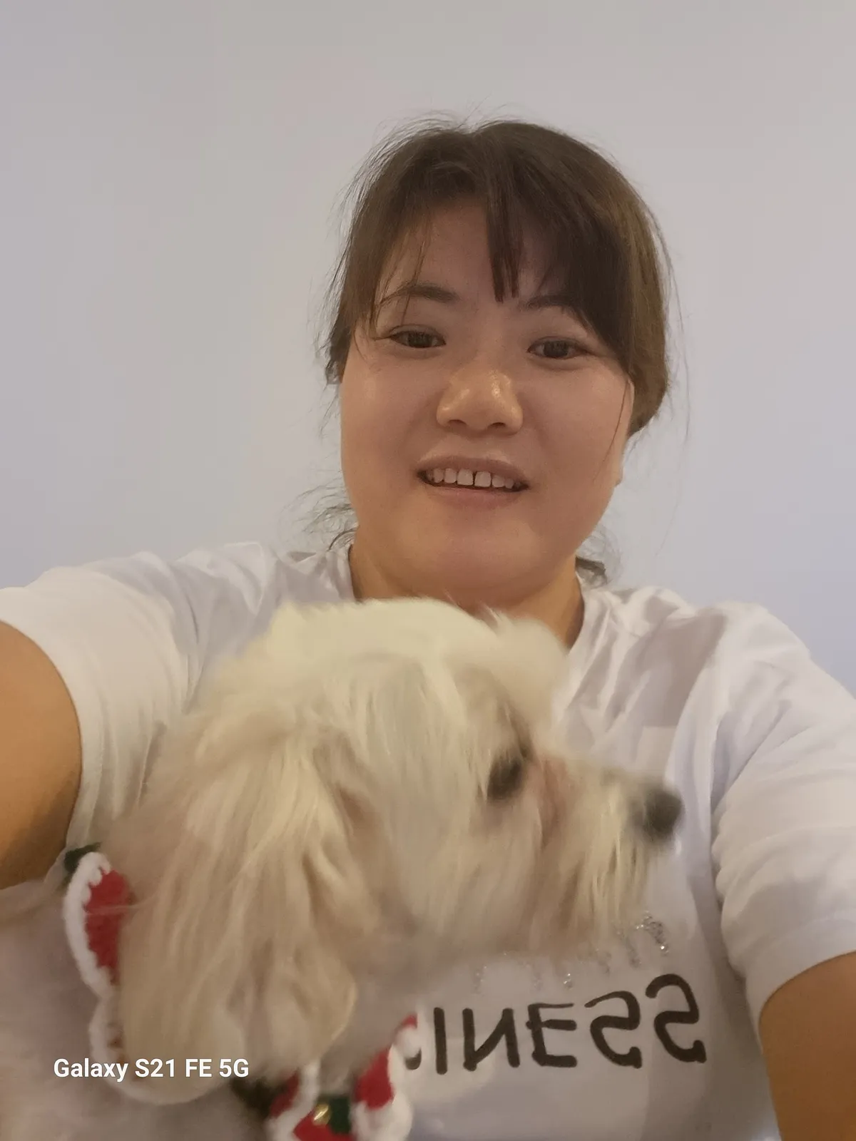 이미지 12