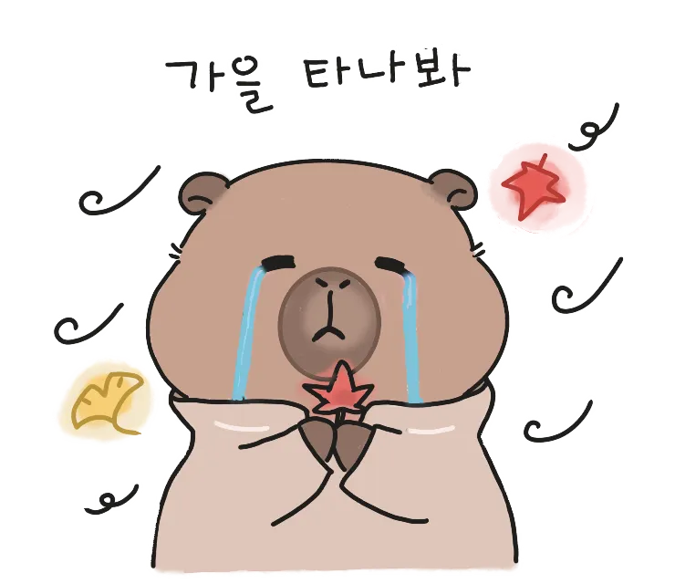이미지 3