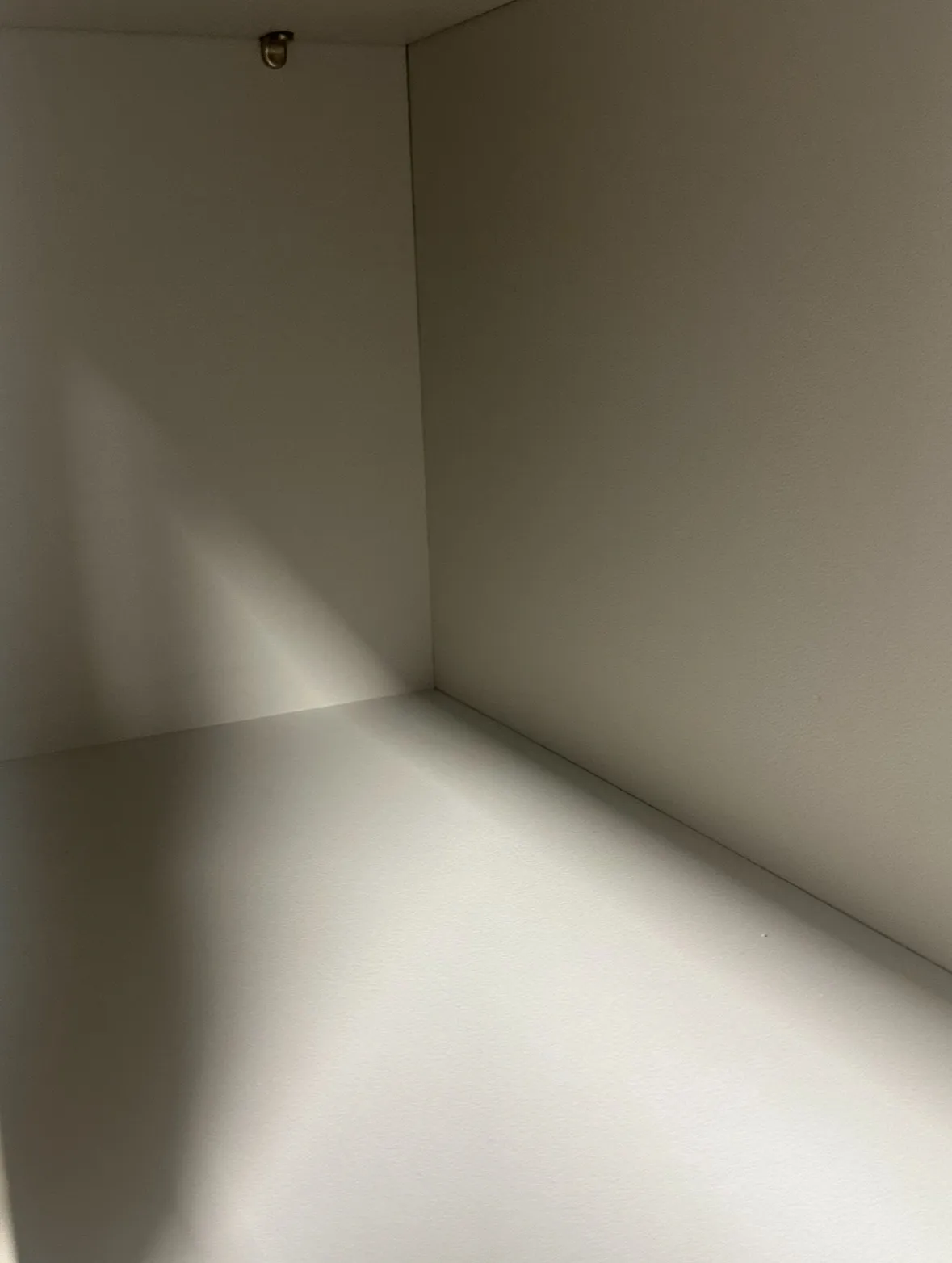 이미지 8