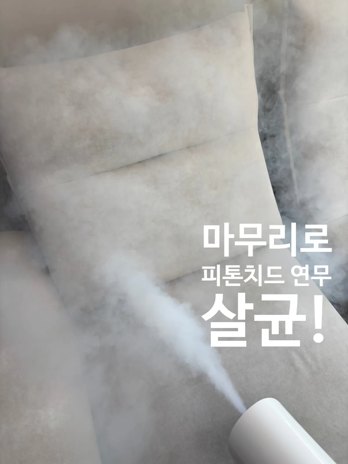 이미지 20