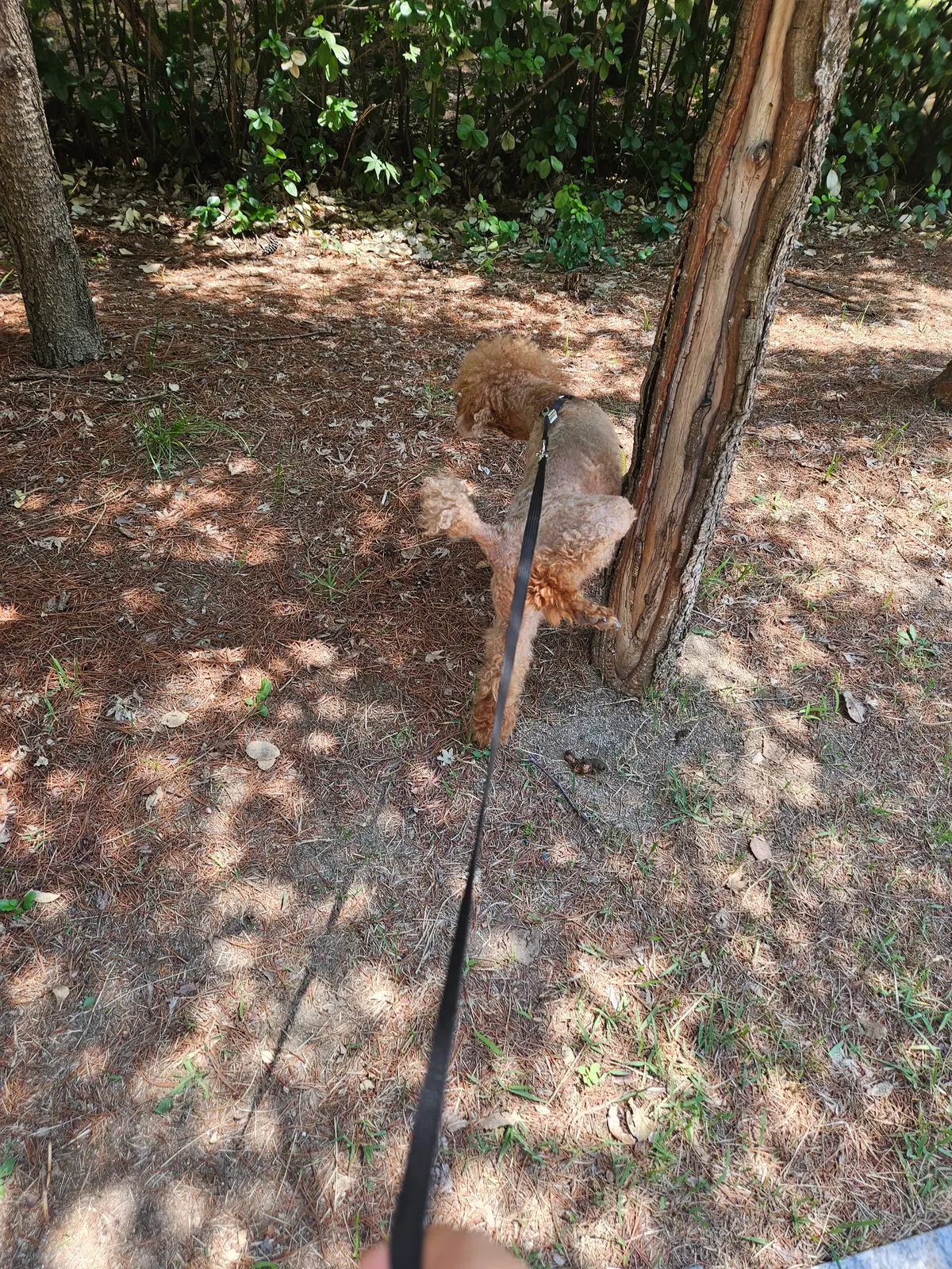 이미지 5