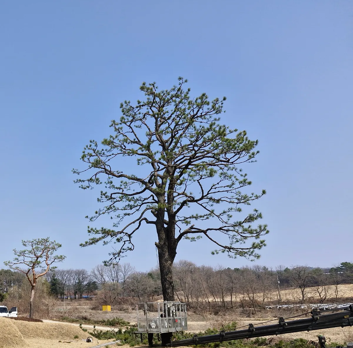 이미지 4