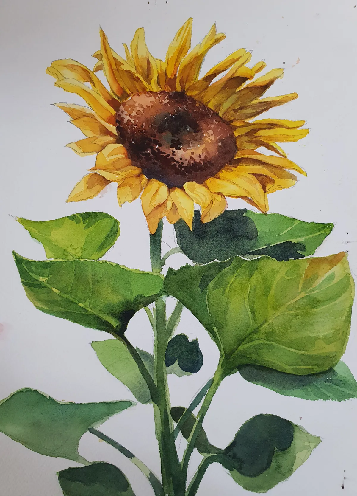 이미지 6