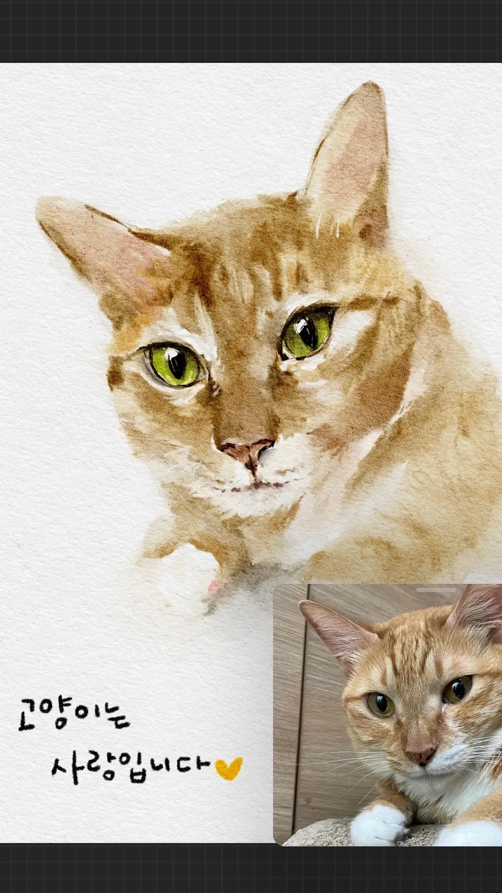 이미지 5