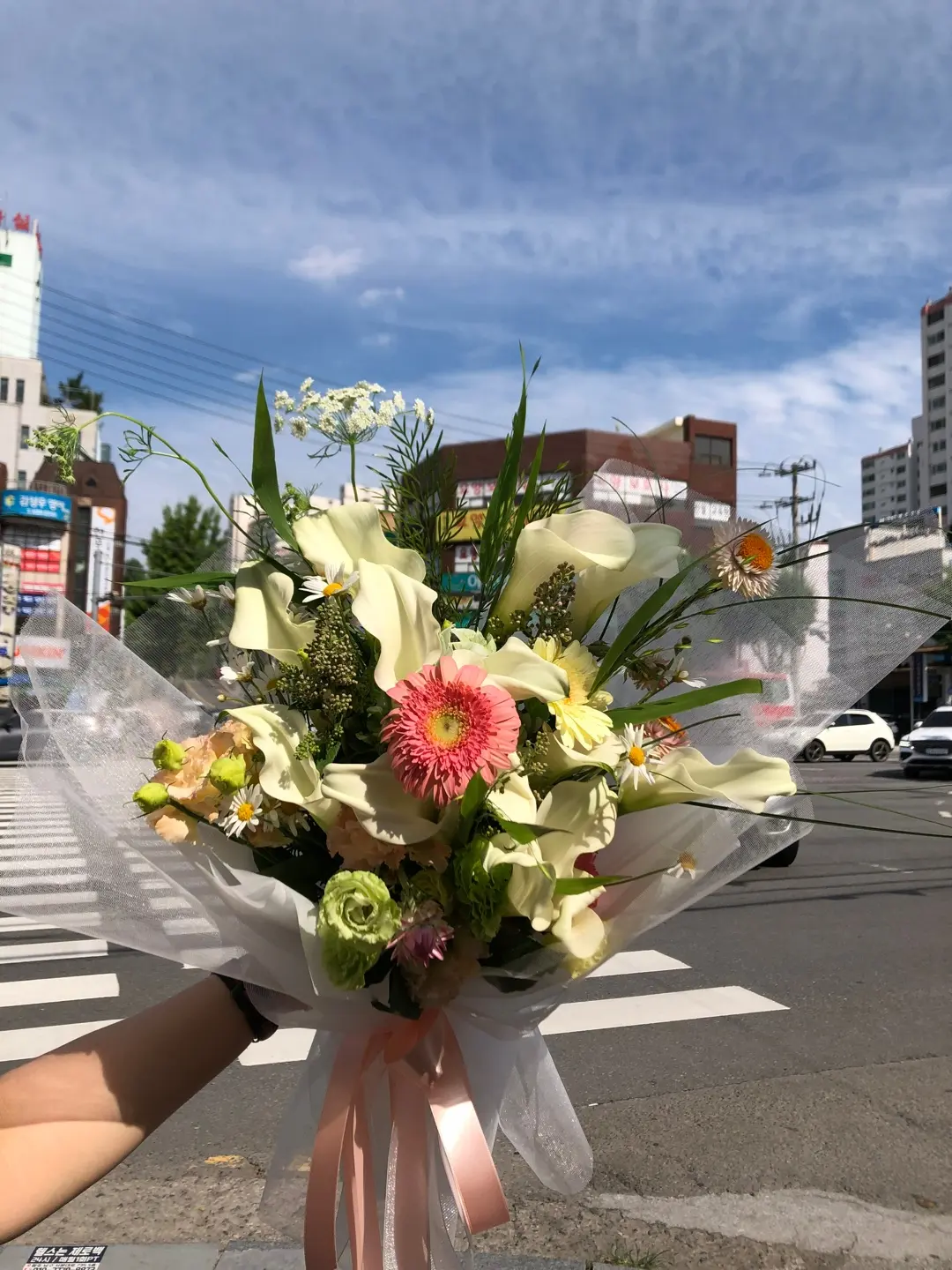이미지 12