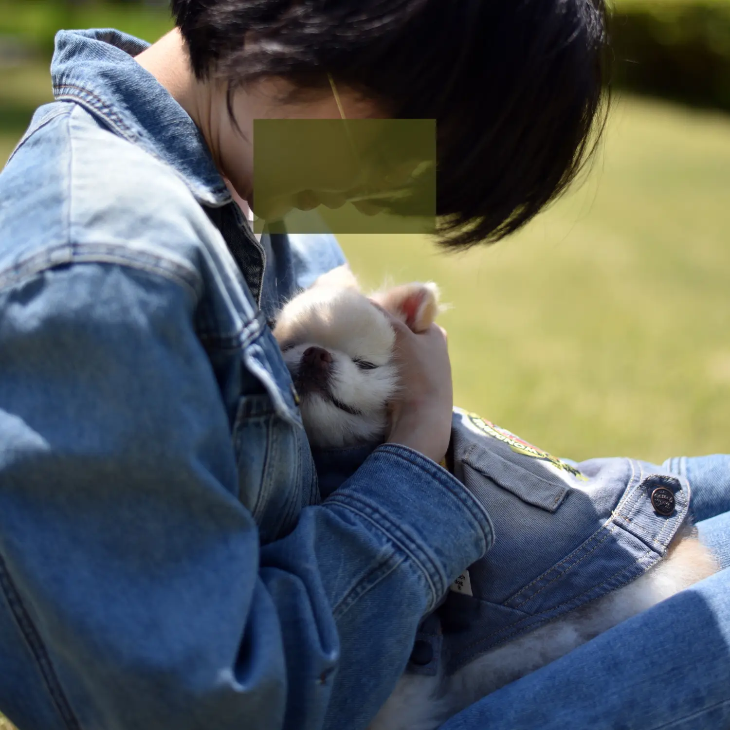 이미지 6