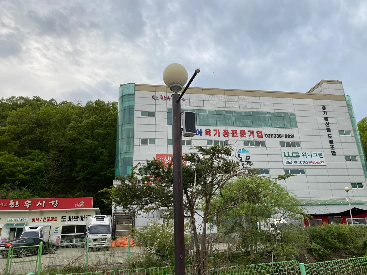 이미지 9