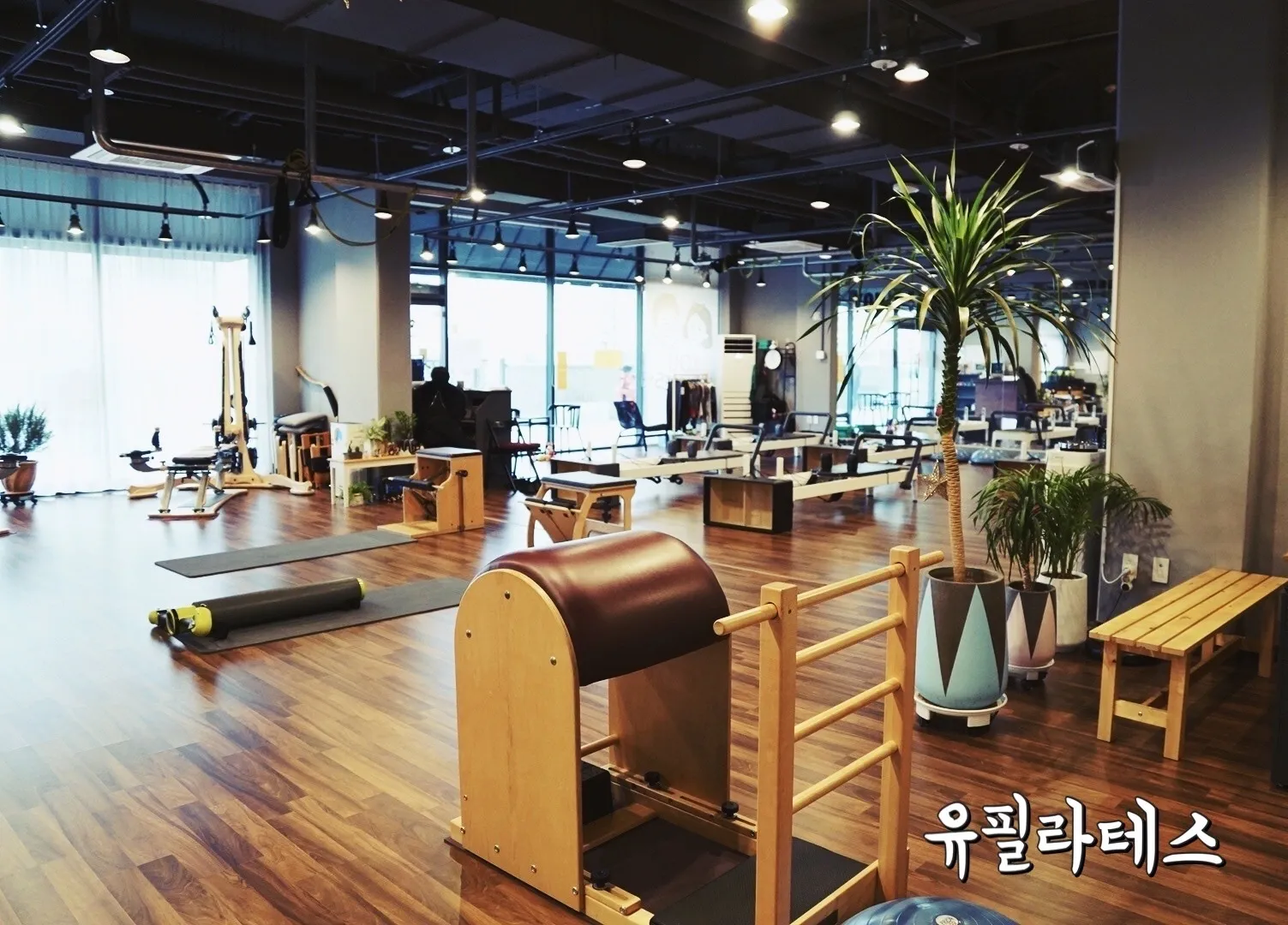 이미지 6