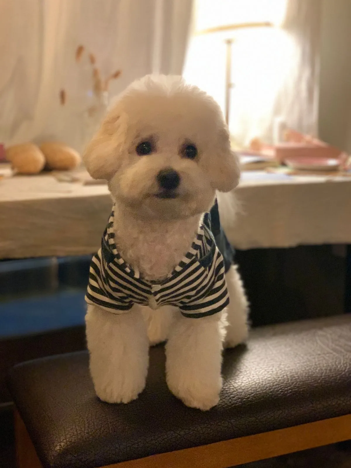 이미지 9