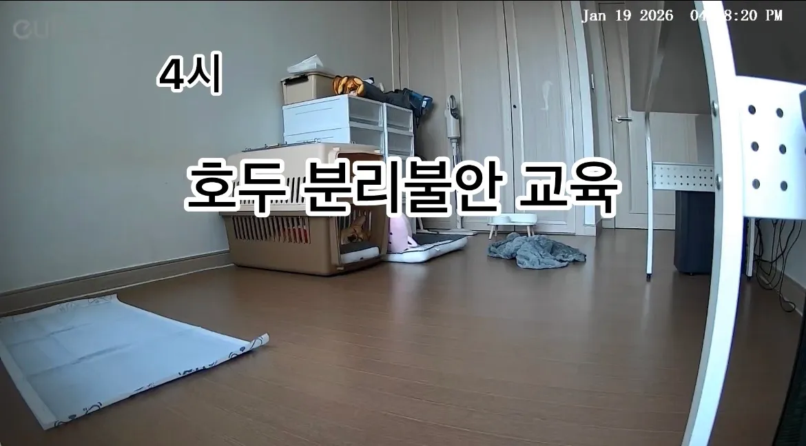 이미지 8