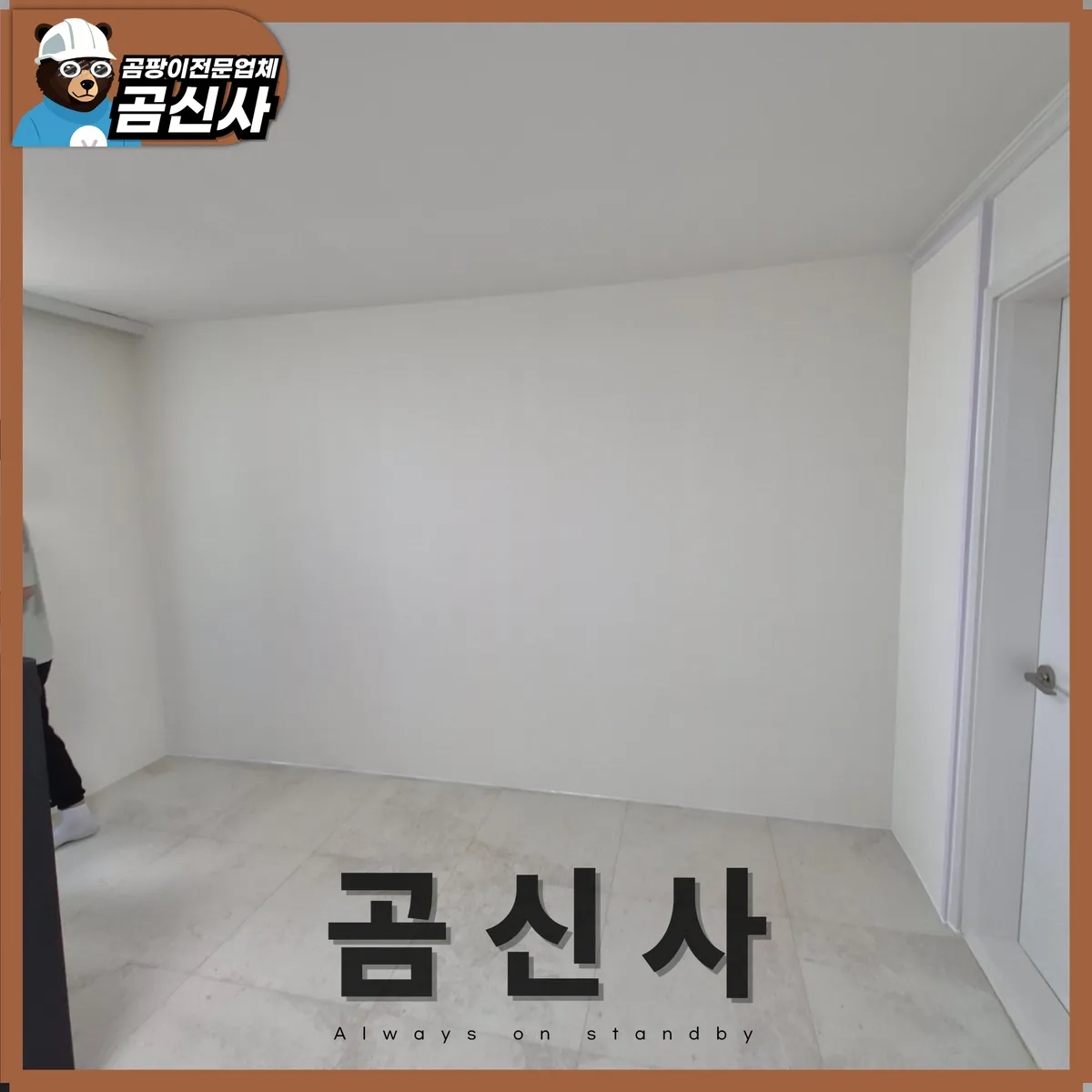 이미지 12