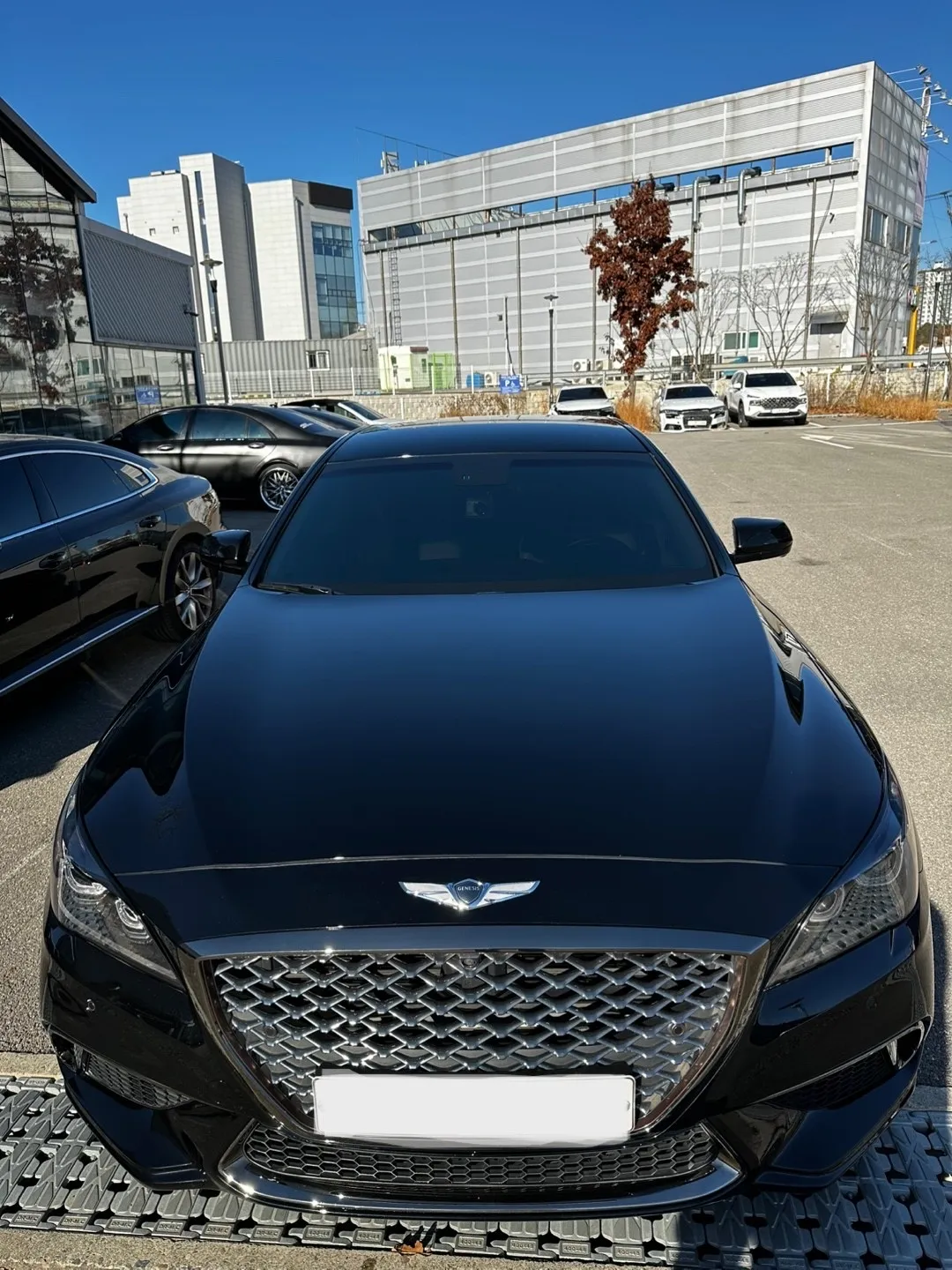 이미지 5