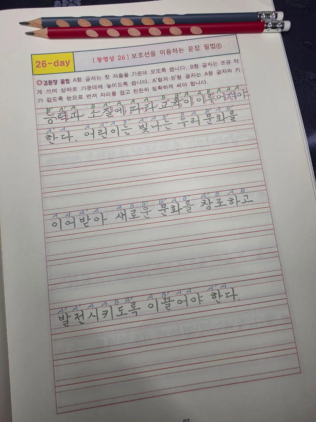 이미지 8