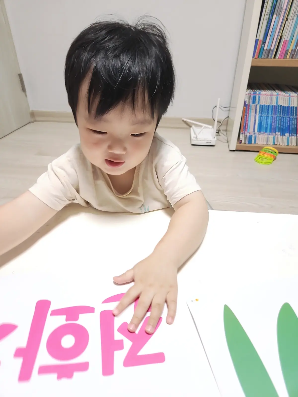 이미지 6