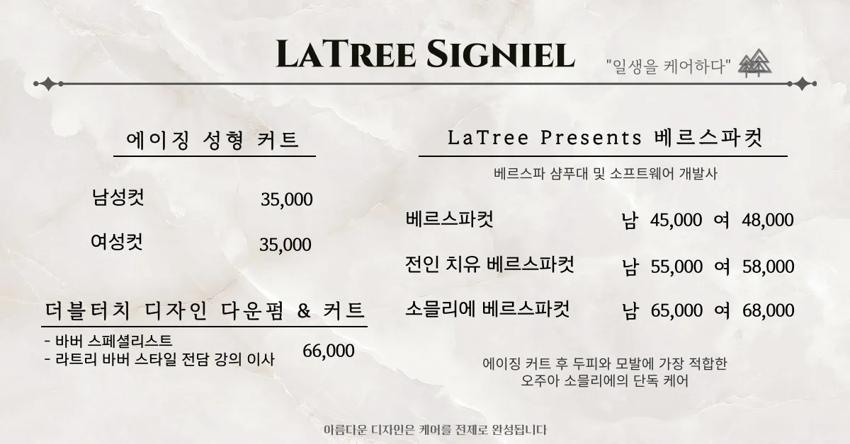 이미지 12